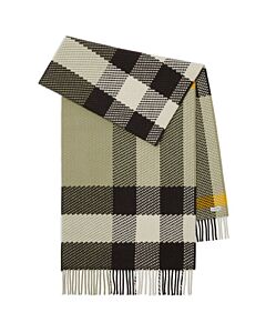 Burberry Hunter Check-Pattern Wool Scarf