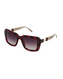 Carolina Herrera 53 mm Red Tortoise Sunglasses