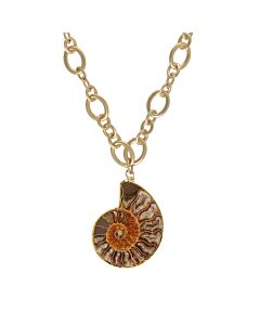 Devon Leigh Ammonite and 24k Gold Foil and 24k Gold Plated Pendant Necklace N4801