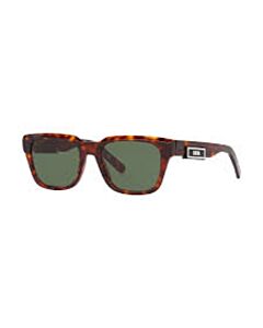 Dior 53 mm Tortoise Sunglasses