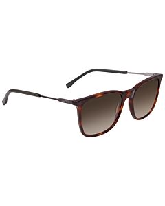 Lacoste 55 mm Dark Havana Sunglasses
