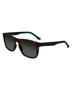 Lacoste 55 mm Matte Havana Sunglasses