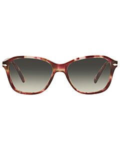 Persol 53 mm Striped Bordeaux Sunglasses