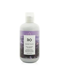 R+Co Sunset Blvd Daily Blonde Shampoo 8.5 oz Hair Care 810374028476