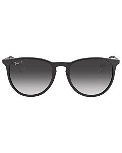 Ray Ban Erika Color Mix 54 mm Matte Black Sunglasses
