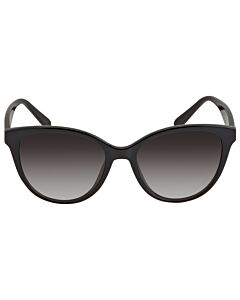 Salvatore Ferragamo 54 mm Black Sunglasses