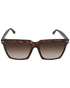 Tom Ford Sabrina 58 mm Havana Sunglasses
