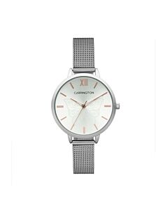 Women's Clementine Stainless Steel Silver-tone Dial Watch
