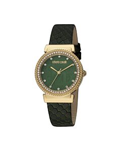 Women's Fashion Watch Leather Green Dial Watch
