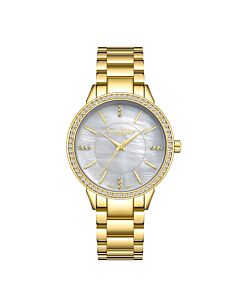 Women's Pearlescent Stainless Steel Mother of Pearl Dial Watch